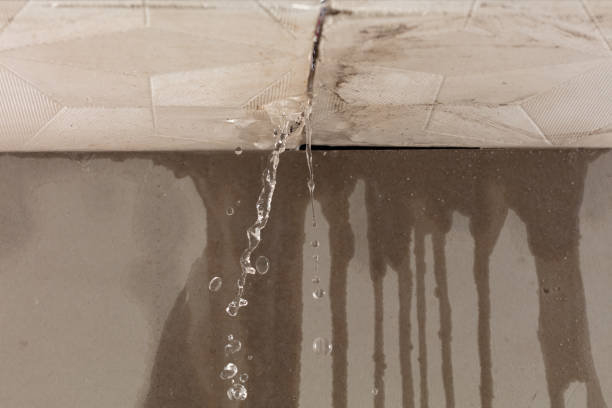 Professional Burst Pipe Cleanup technician working in Holyoke, MA